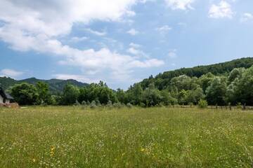 Фото Гостевой дом Pensiunea ARC Bucovina г. Вама 4